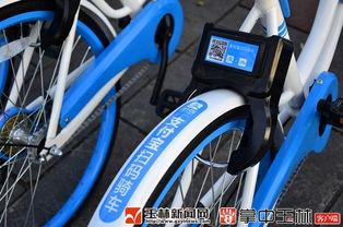 玉林自行车爆料最新消息,行业动态揭秘,市场格局再起波澜