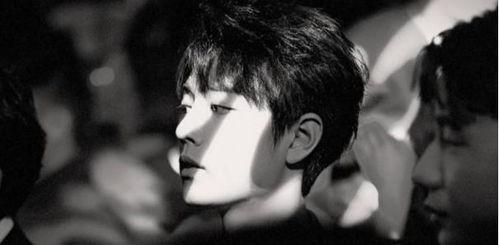 肖战张恒最新爆料,揭秘背后惊人内幕