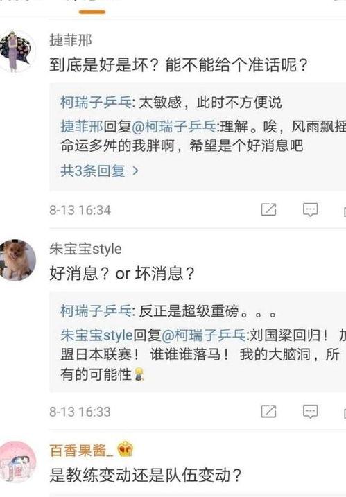 最新体育重大爆料文章,独家内幕大公开!