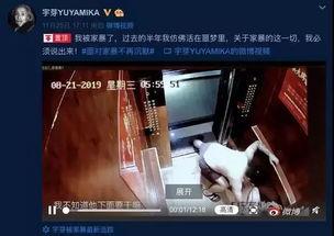 谁爆料家暴视频最新版下载,揭秘暴力真相,呼吁社会关注与干预