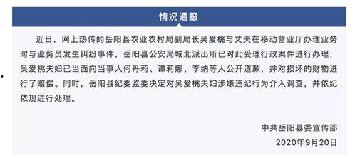 岳阳最新爆料事件视频,视频揭露惊人真相,事件引发社会关注